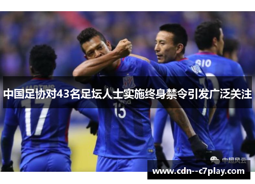 中国足协对43名足坛人士实施终身禁令引发广泛关注