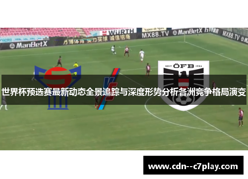 世界杯预选赛最新动态全景追踪与深度形势分析各洲竞争格局演变