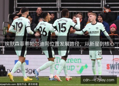 埃默森菲蒂帕尔迪同位置发展路径，从新星到核心
